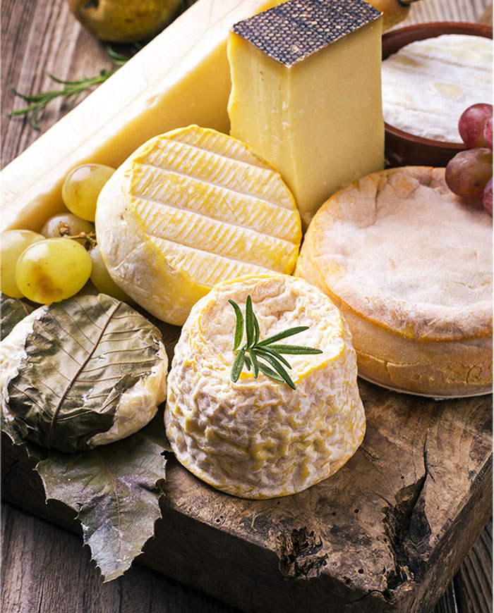 Best Cheese Tasting