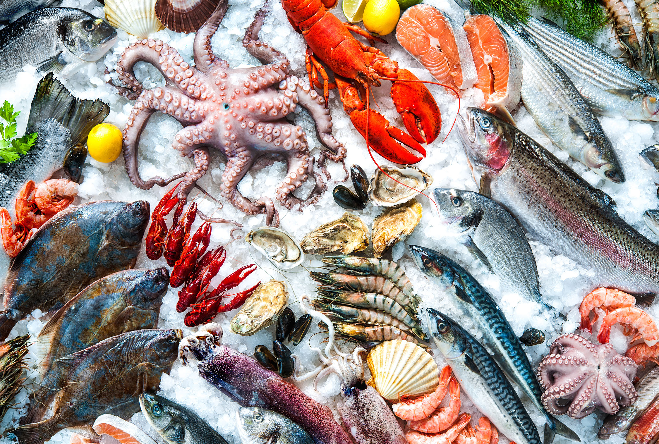 Fish And Shellfish Masterclass - Learn New Skills | Hartley's Events