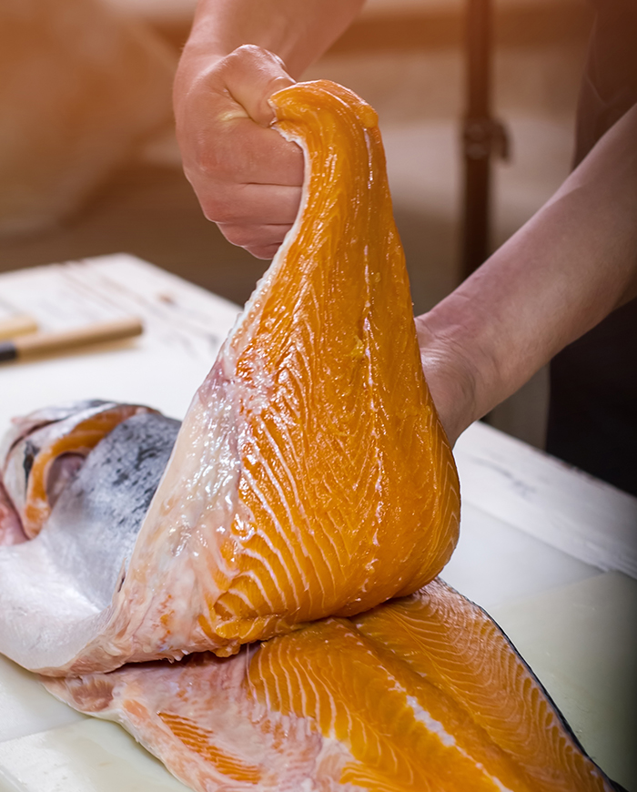 Large fish being filleted